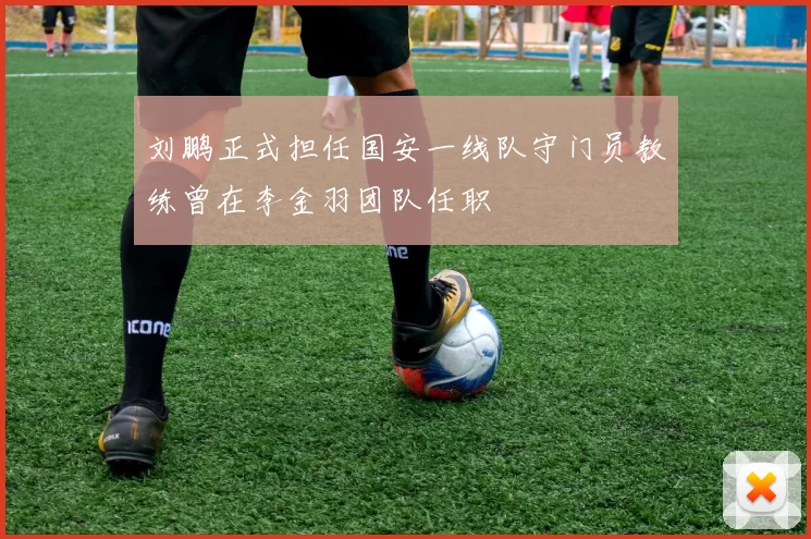 刘鹏正式担任国安一线队守门员教练曾在李金羽团队任职